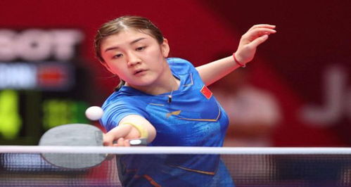 本土球员 本土球员